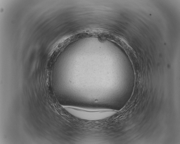 X0000087691016200705181749