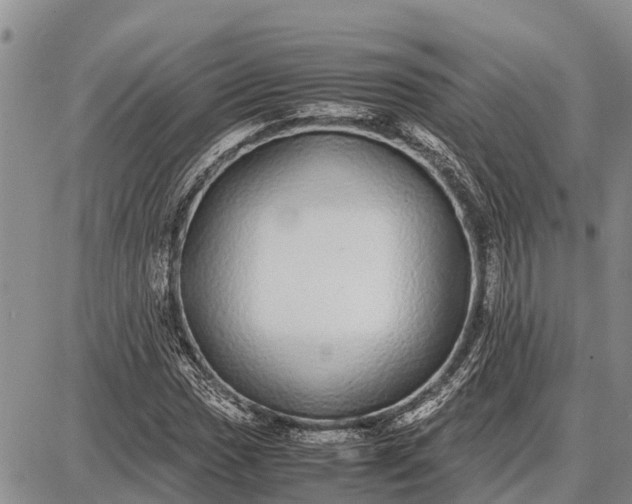 X0000087691017200705181749