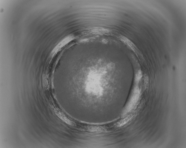 X0000087691018200705181749