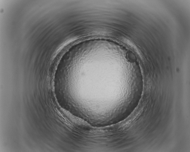 X0000087691019200705181749