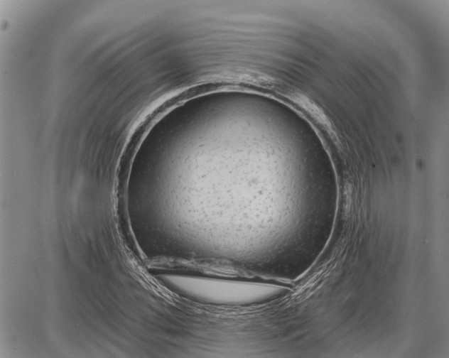 X0000087691020200705181749