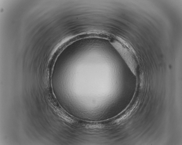 X0000087691021200705181749