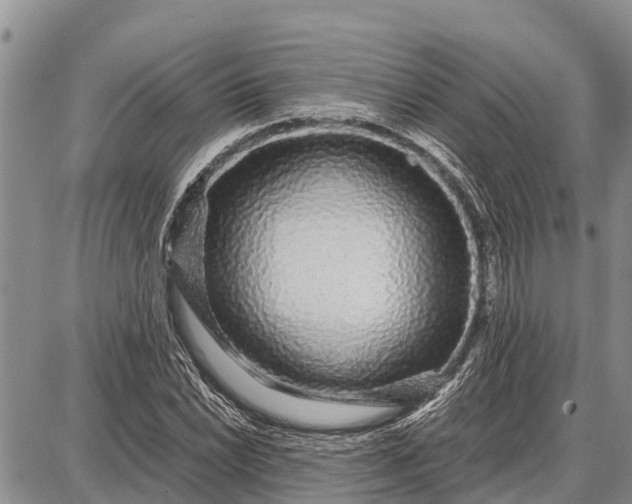 X0000087691022200705181749