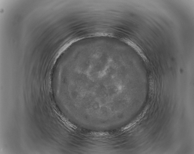 X0000087691023200705181749