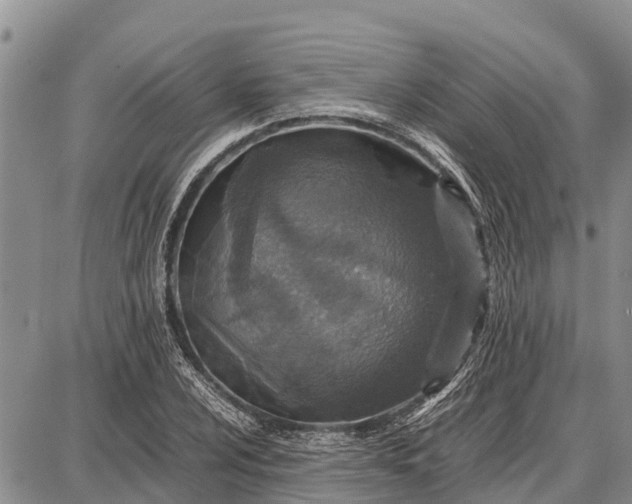 X0000087691024200705181749