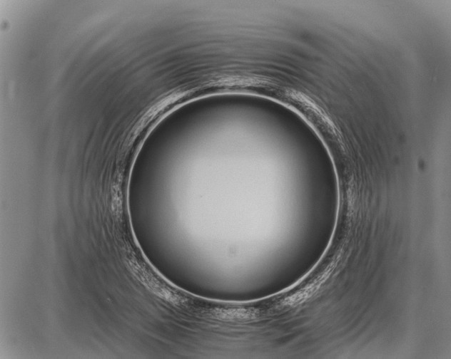 X0000087691025200705181749