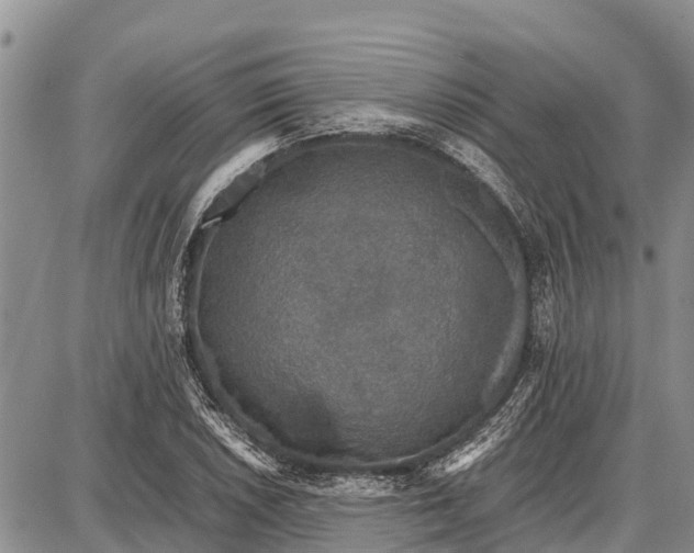 X0000087691026200705181749