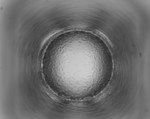 X0000087691027200705181749