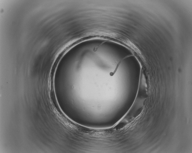 X0000087691028200705181749