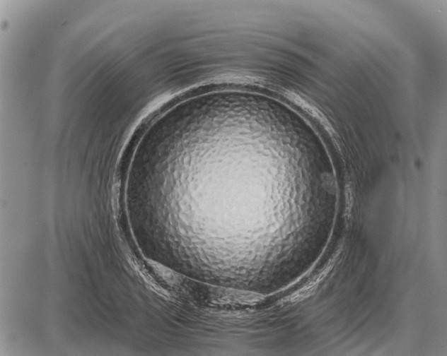 X0000087691029200705181749