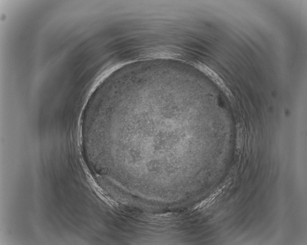 X0000087691031200705181749