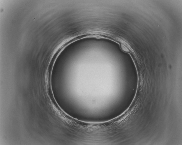 X0000087691032200705181749