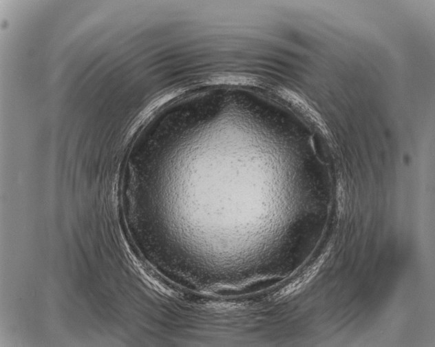 X0000087691033200705181749