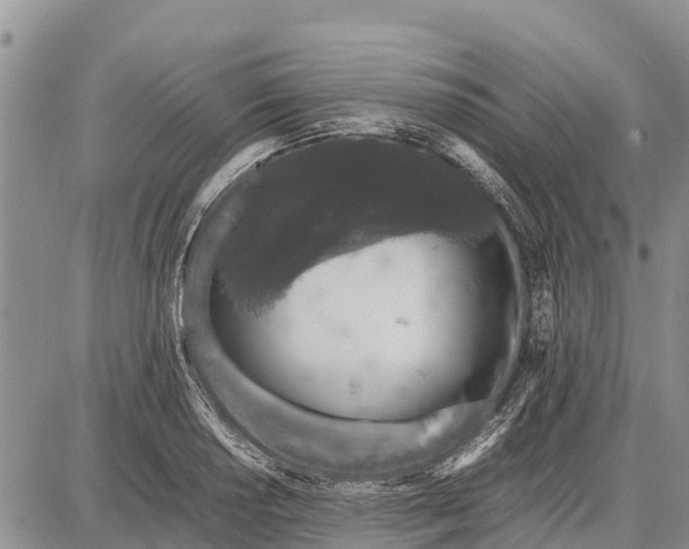 X0000087691034200705181749