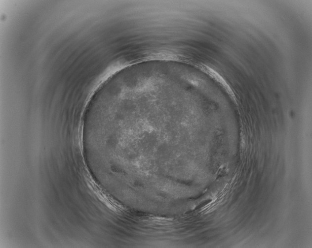 X0000087691035200705181749