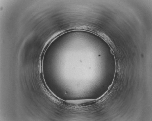 X0000087691036200705181749