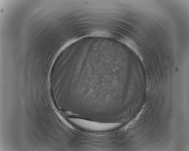 X0000087691037200705181749