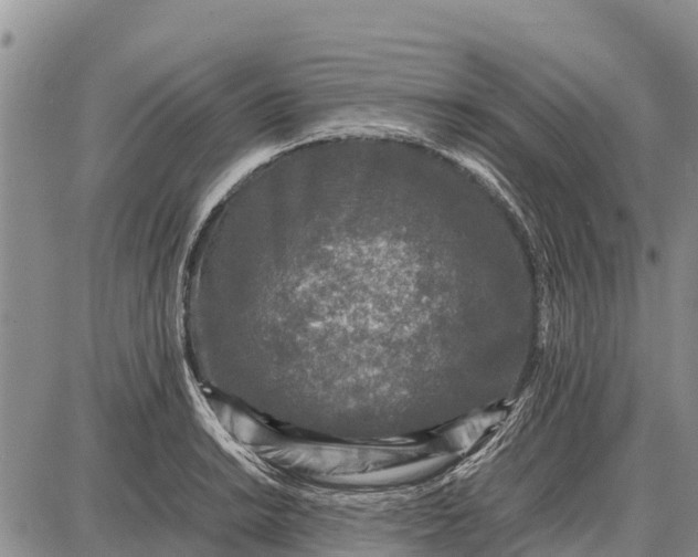 X0000087691038200705181749