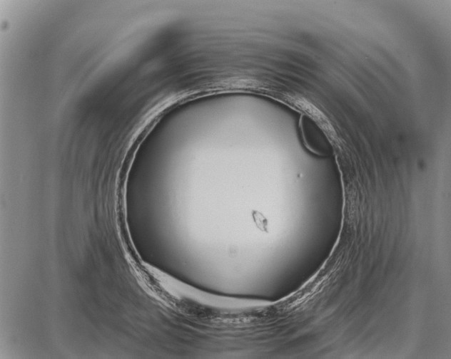 X0000087691039200705181749