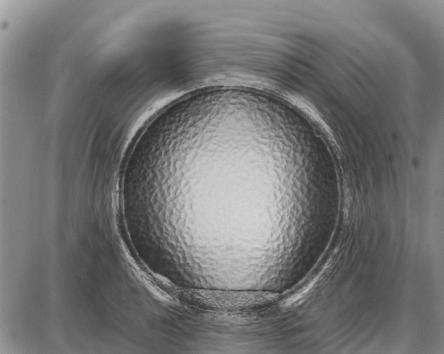 X0000087691040200705181749