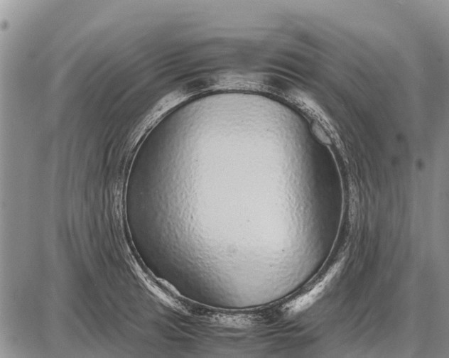 X0000087691041200705181750