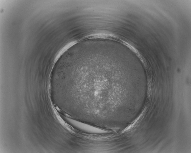 X0000087691042200705181750