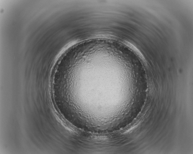 X0000087691043200705181750