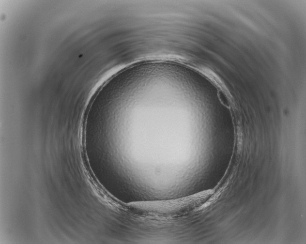 X0000087691044200705181750