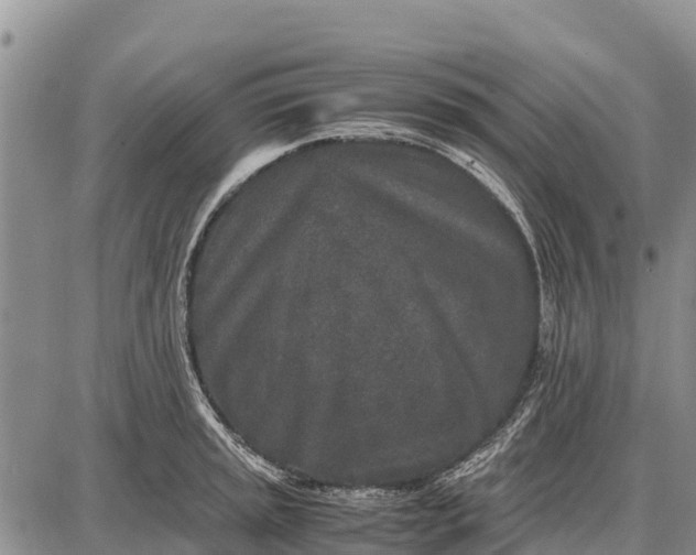 X0000087691045200705181750