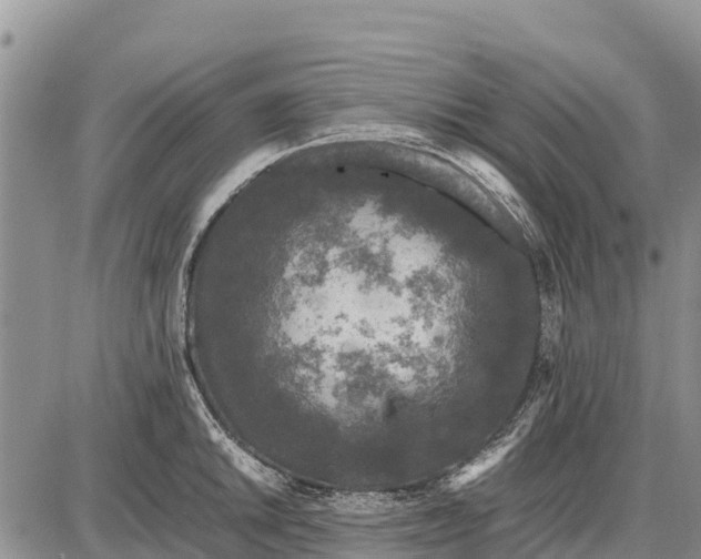 X0000087691046200705181750