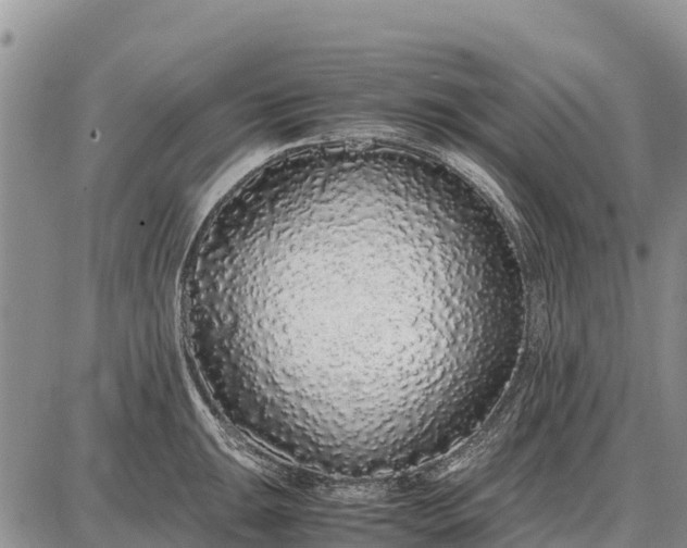 X0000087691047200705181750