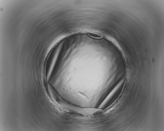 X0000087691048200705181750