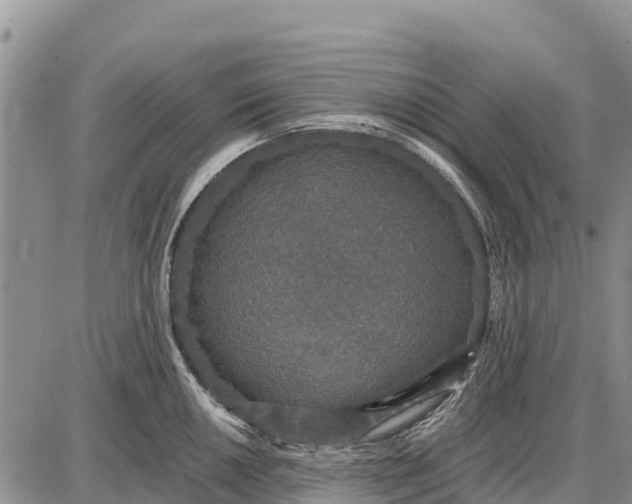 X0000087691050200705181750