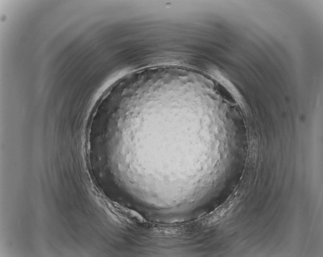 X0000087691051200705181750