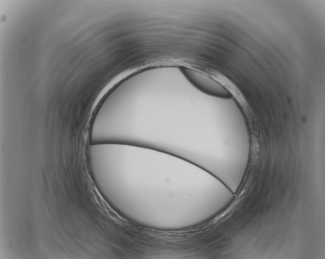 X0000087691052200705181750