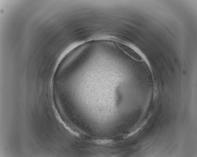 X0000087691053200705181750