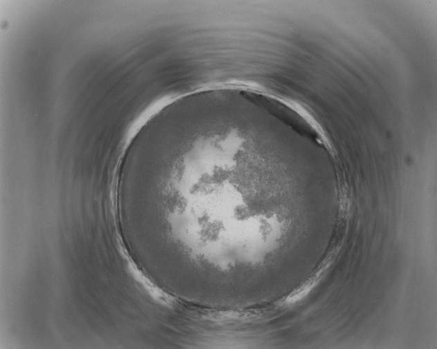 X0000087691054200705181750