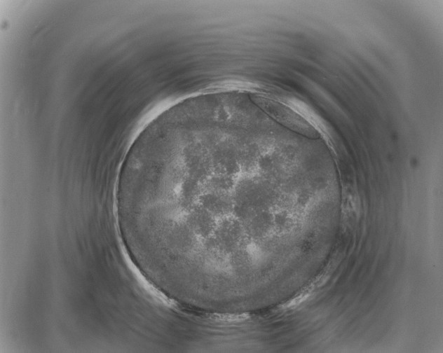 X0000087691055200705181750