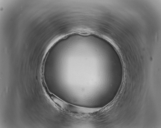 X0000087691056200705181750