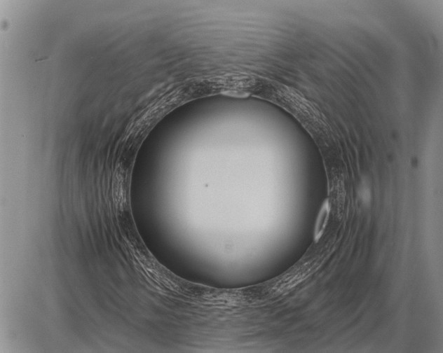 X0000087691058200705181749