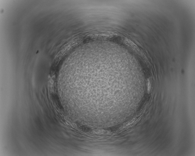 X0000087691059200705181749