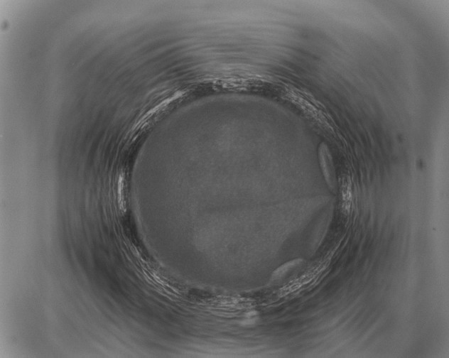 X0000087691060200705181749