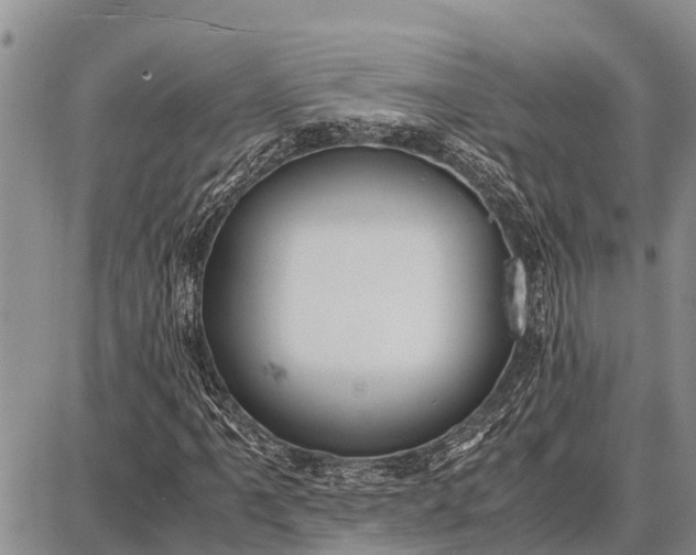 X0000087691061200705181749