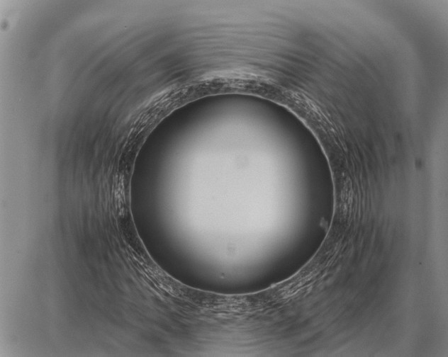 X0000087691062200705181749