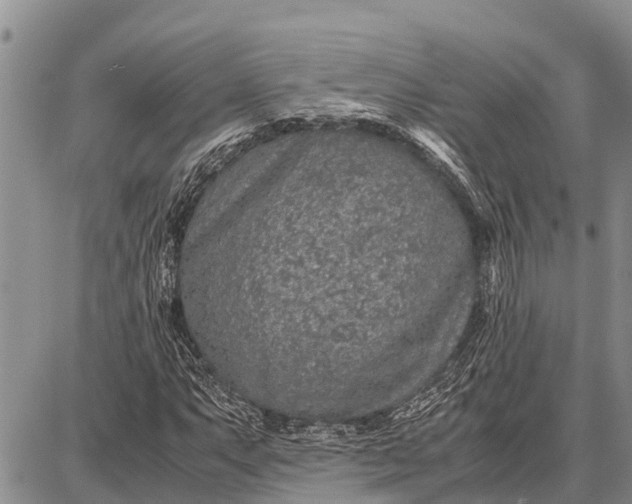 X0000087691063200705181749