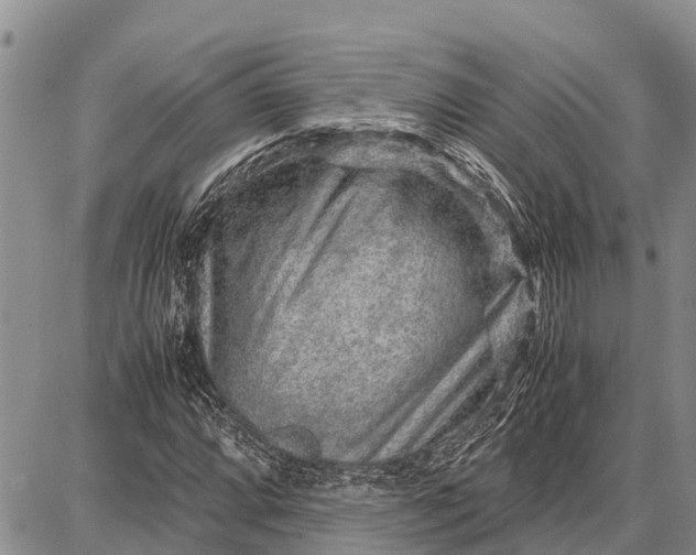 X0000087691064200705181749