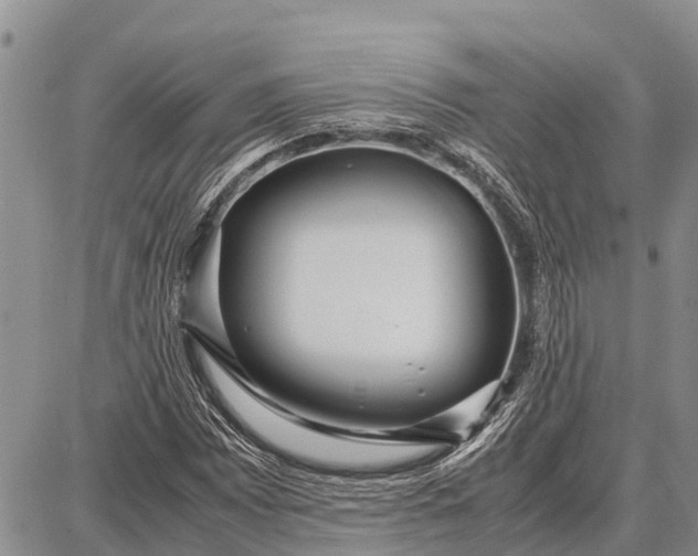 X0000087691065200705181749