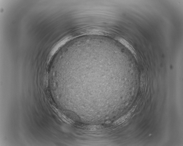 X0000087691067200705181749