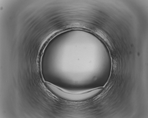 X0000087691068200705181749