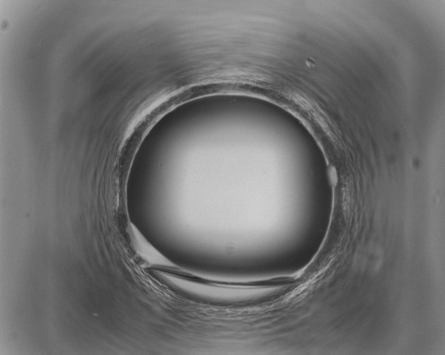 X0000087691069200705181749